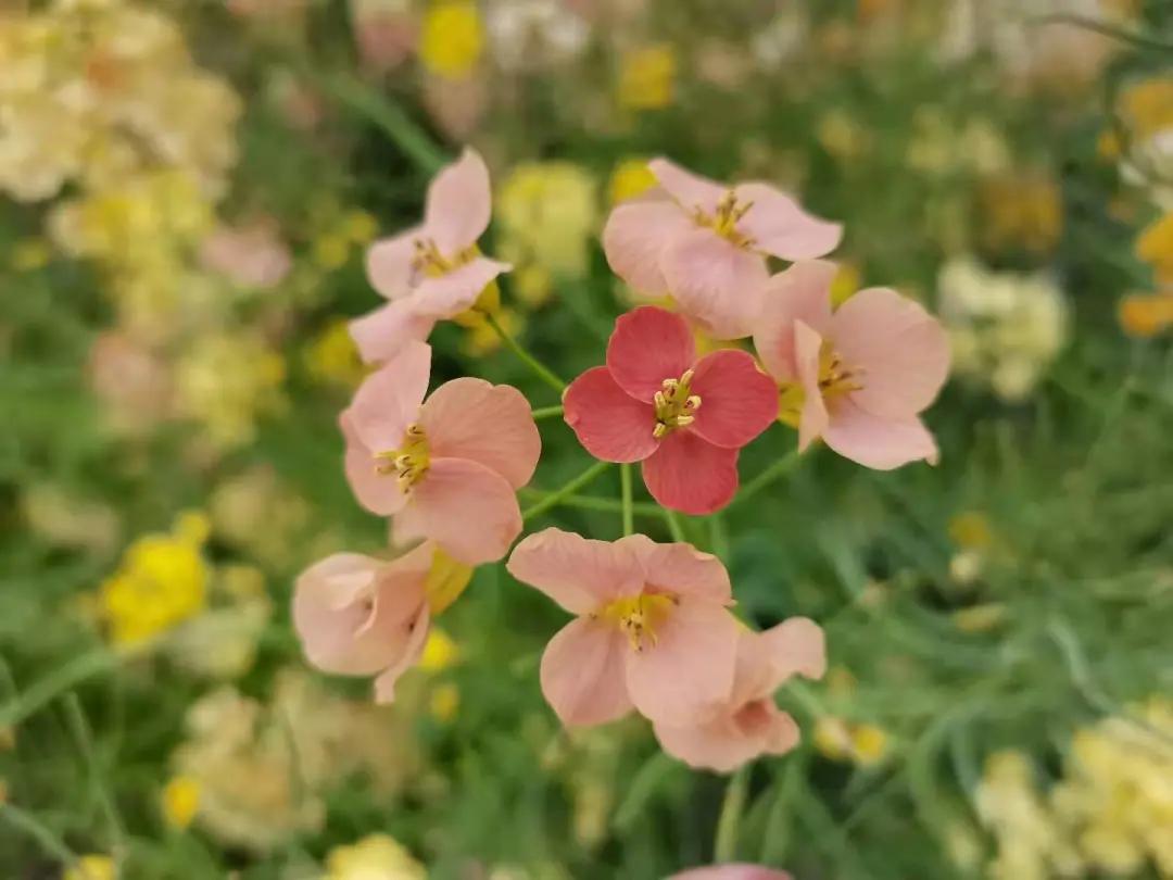 汉川5天周边游攻略,汉川徒步旅游攻略一日游