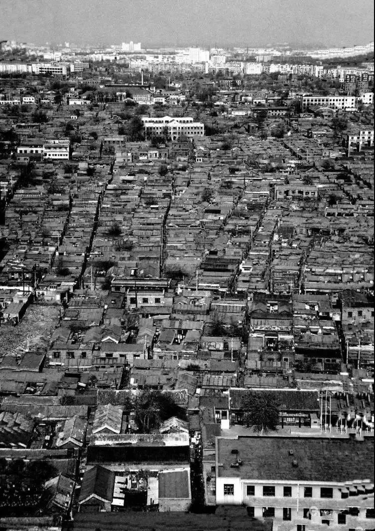 很羡慕天津人的生活状态,在天津最羡慕的就是住在体院北