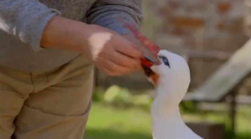 18年感人的爱情故事视频,18年的爱情故事