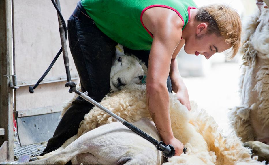 中国要买美国国债6000亿美元,中国持有美国国债是多少美元