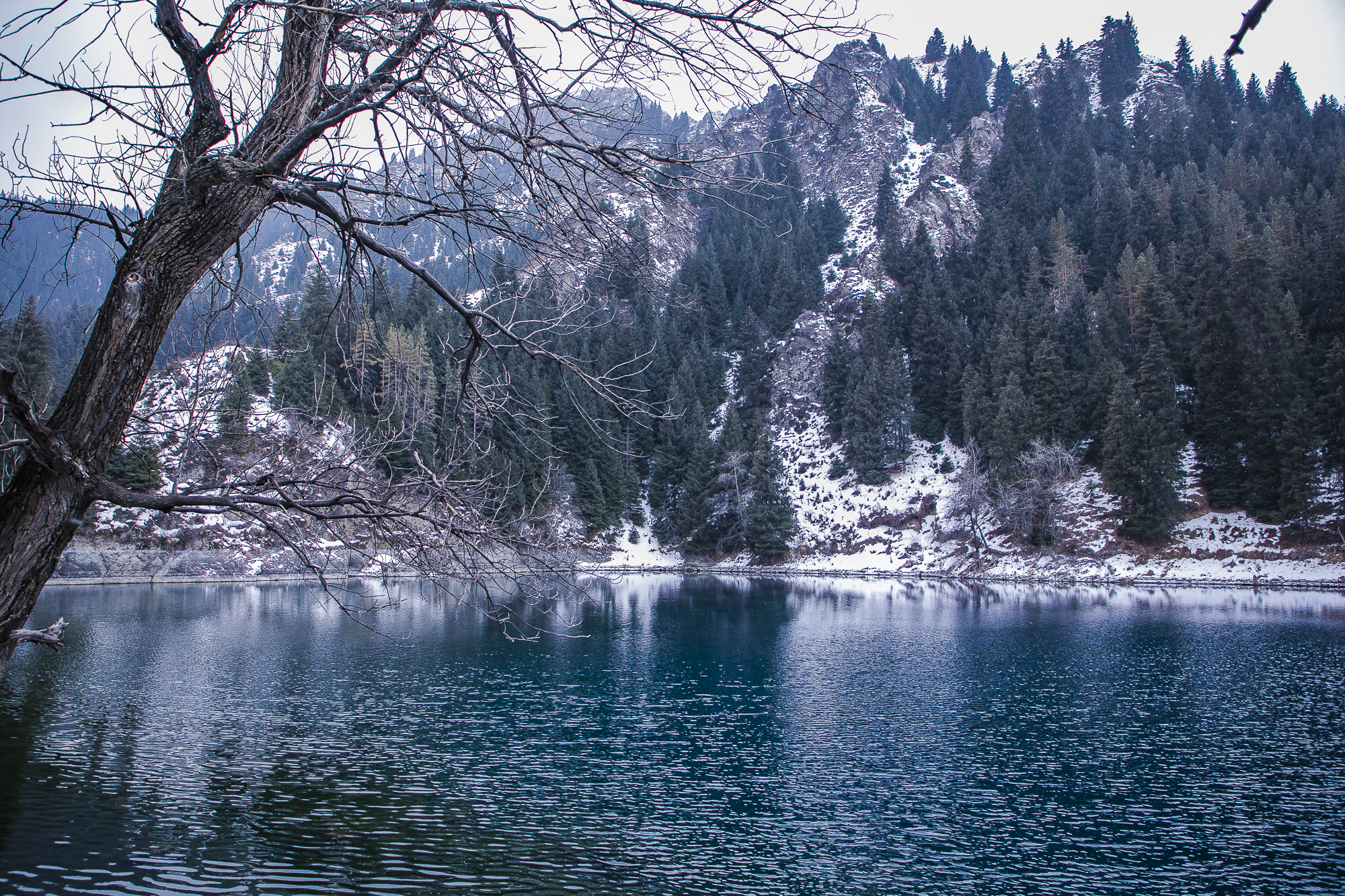 大美新疆博格达峰美景,天山天池博格达峰全景图片