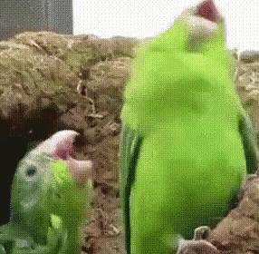 很便宜但很有效的药,用不到五毛钱的特效药