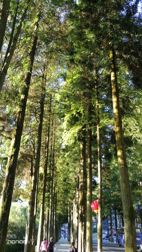 献给医生的赞歌朗诵,中国医学科学院肿瘤医院桓兴分院