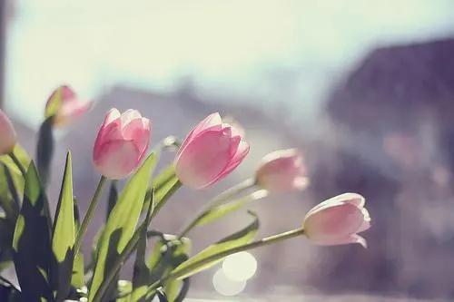 人生感悟一句话正能量短句,高质量语录正能量句子