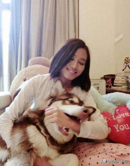 王思聪在哪家买的鸭子,王思聪为什么养鸭