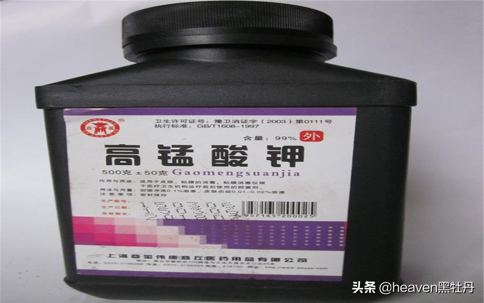 鸽舍防螨虫的最好方法,养鸽鸽毛乱飞怎么处理