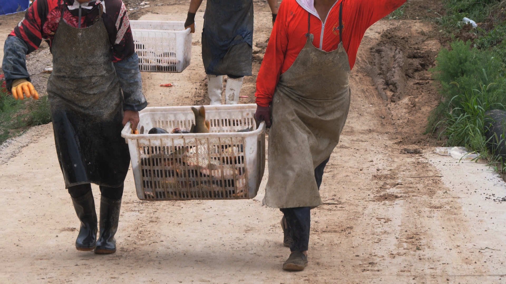静海花园因为什么火起来的,静海花园的经营模式
