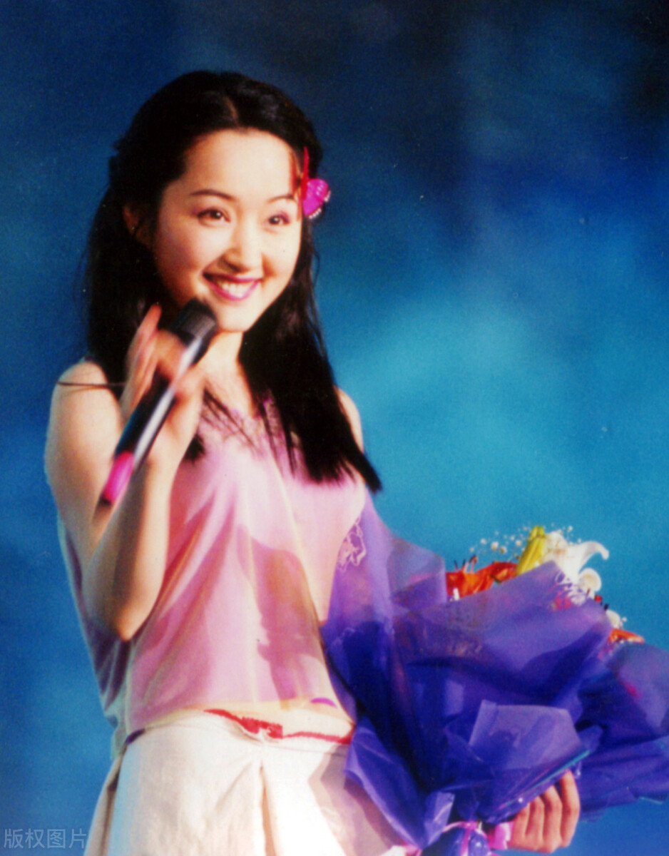 杨钰莹八卦故事,杨钰莹的故事简介