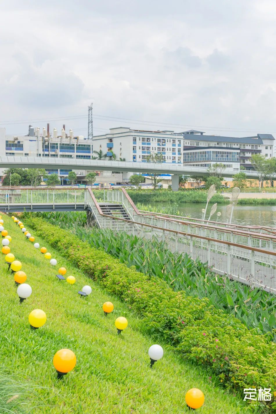 沙井万丰哪里的生蚝好吃,深圳沙井生蚝最出名店