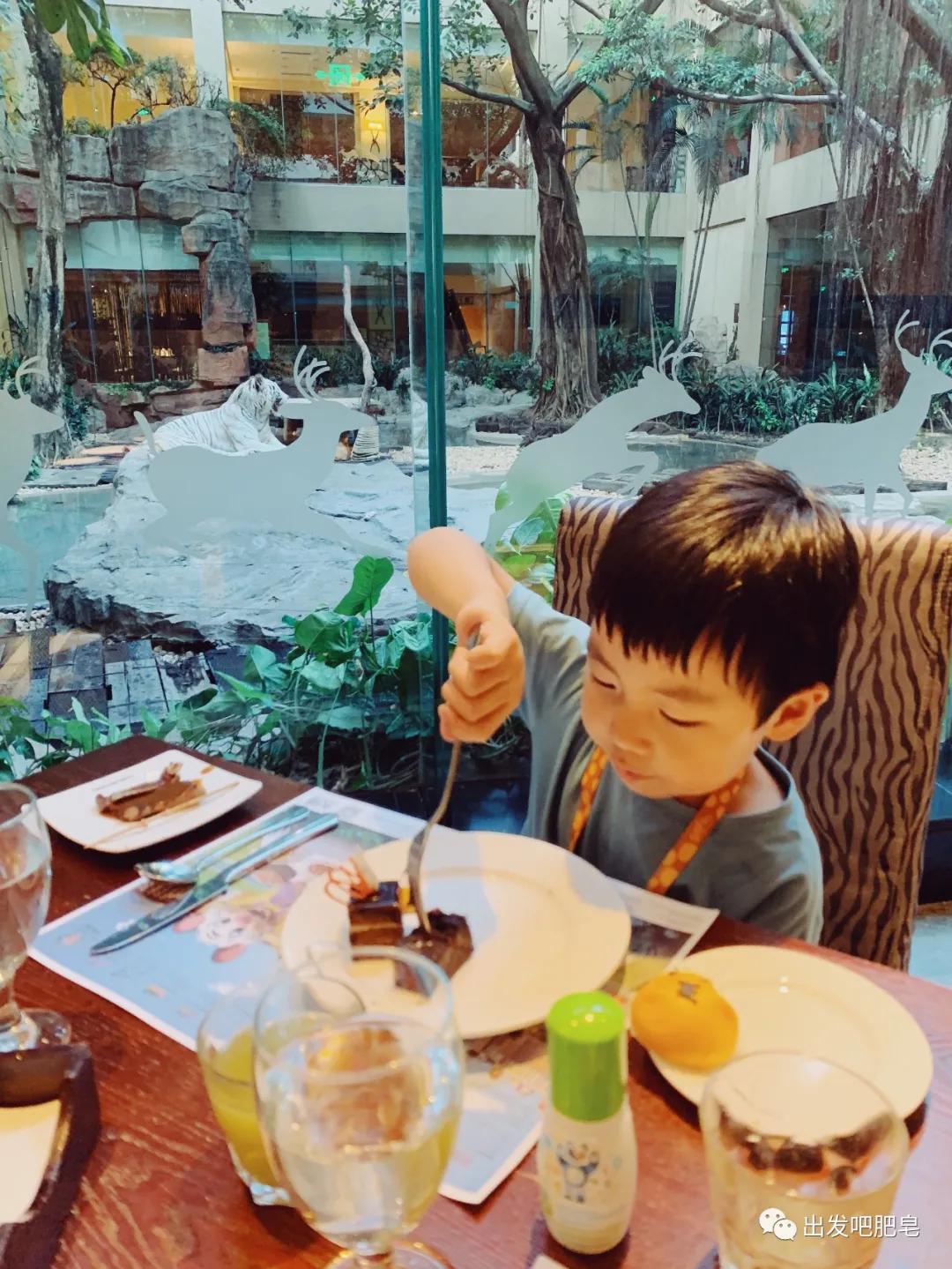 长隆飞鸟乐园怎么去长隆欢乐世界,汉溪长隆地铁站去长隆飞鸟乐园