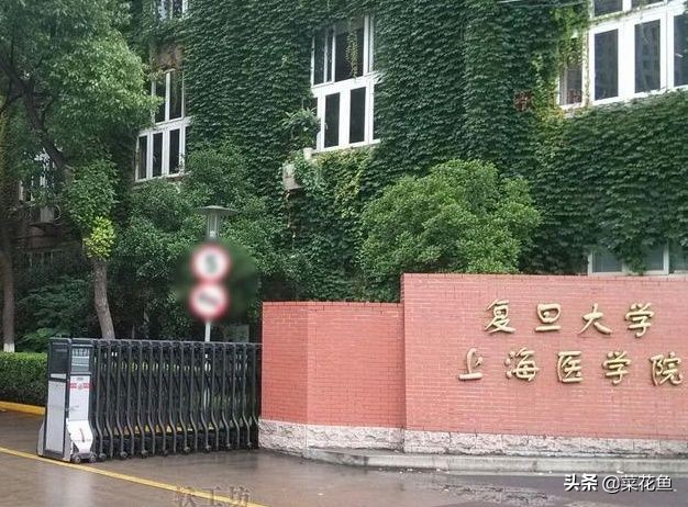 复旦大学和上海交通大学全国排名,复旦大学上海交通大学学科对比