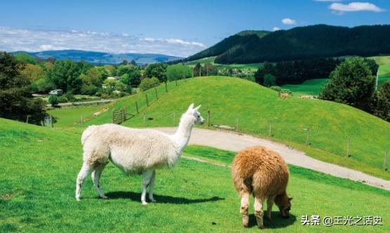 鏂拌タ鍏版槸鍐滀笟鍥藉悧,鍐滀笟鍥芥柊瑗垮叞