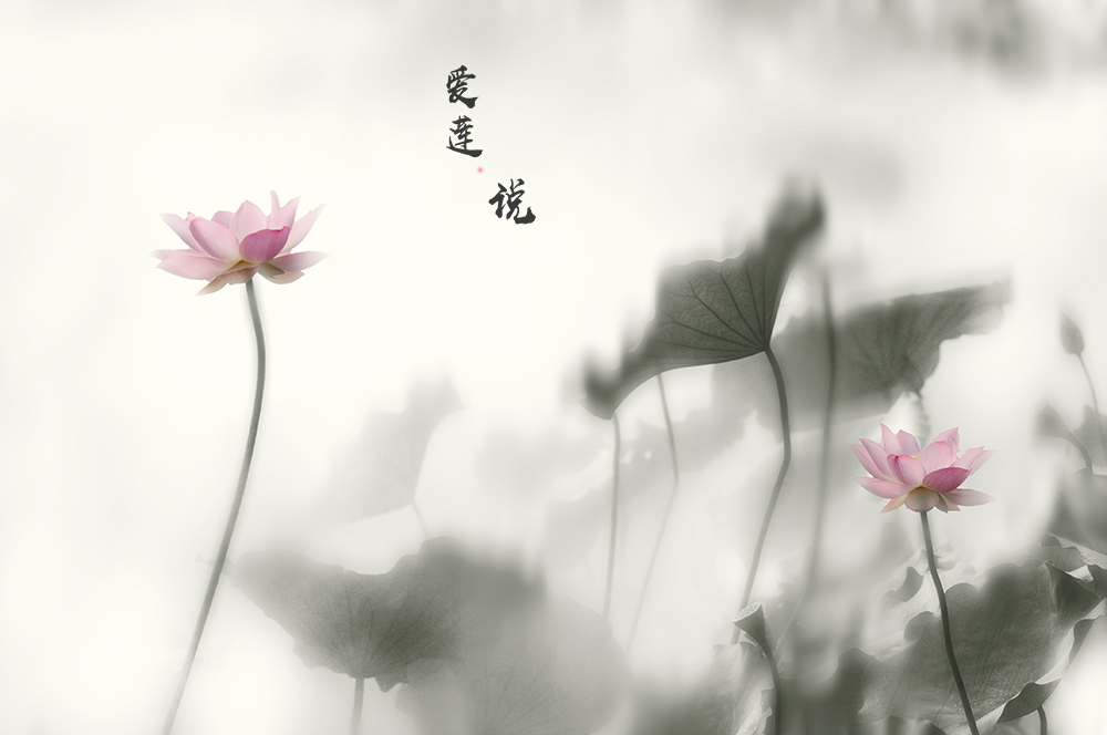 初中语文文学常识填空,初中语文易错文学常识