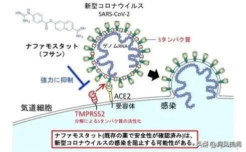 最新通报日本东京新冠,东京新冠最新消息