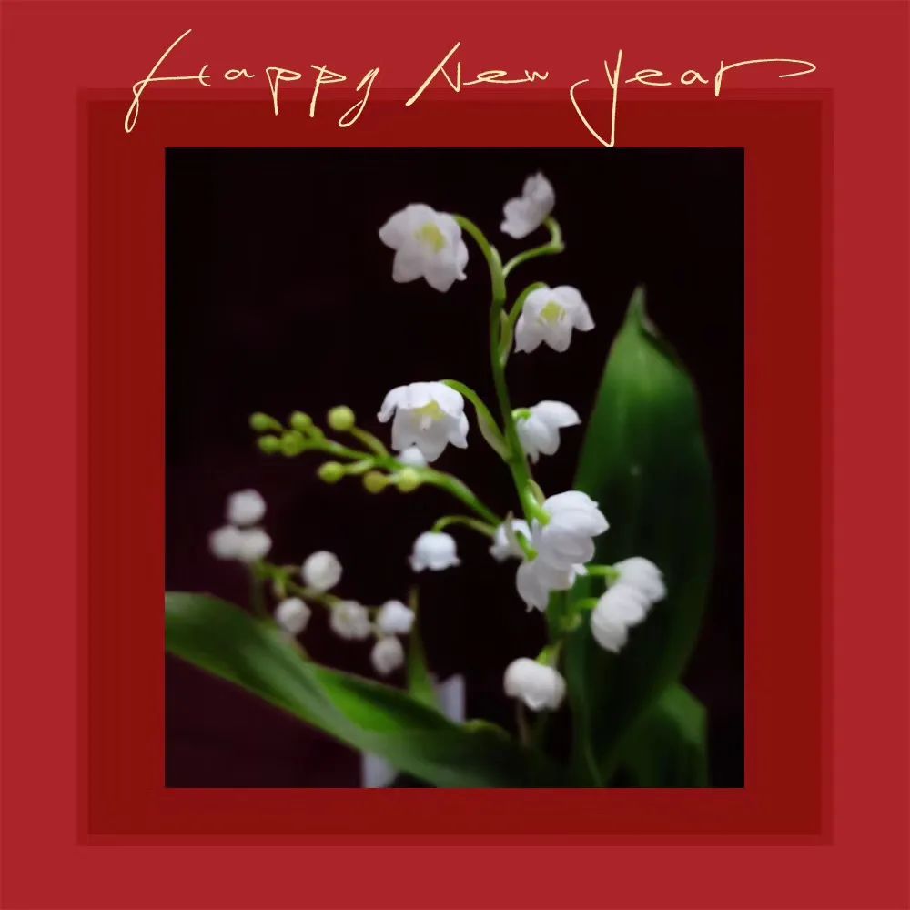 缃戝弸鍒嗕韩鍖椾含璧忚姳鎸囧崡,鍖椾含璧忚姳鎸囧崡