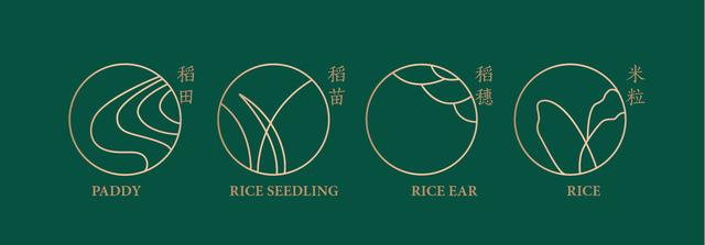 经典案例|董小婉、谭福锅、卢家妈妈……如何炼成爆红品牌？