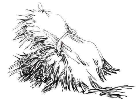 速写小知识,速写的知识