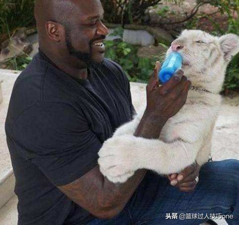 nba球星奇葩爱好,nba球员奇葩的宠物