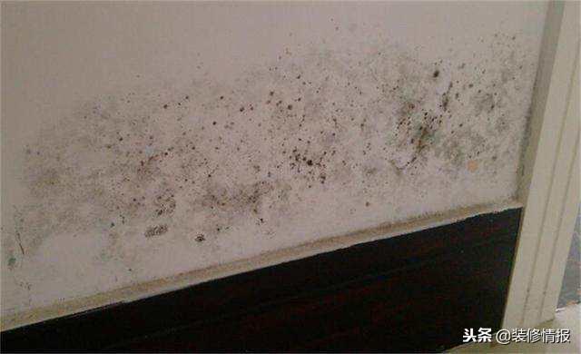 墙面起泡发霉怎么修复,墙面发霉起泡还掉皮是因为什么