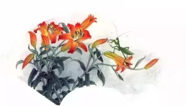 工笔百合花朵设色步骤,工笔重彩油画百合