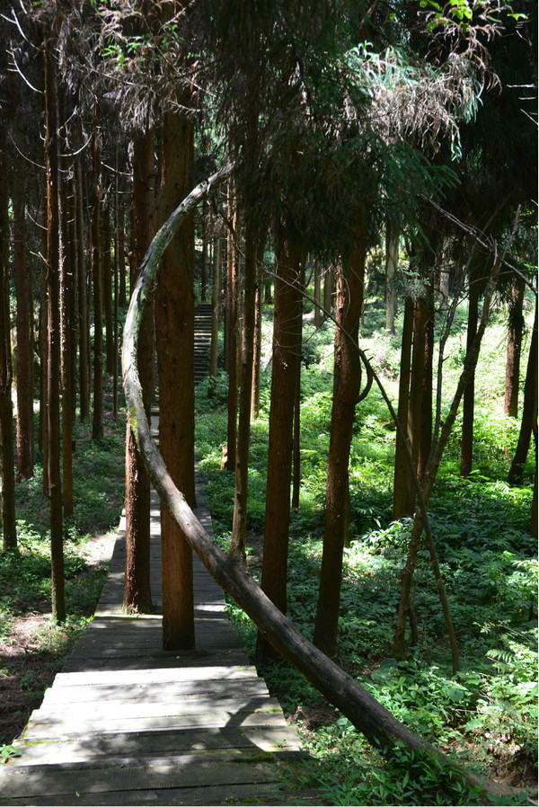 重庆人去哪里避暑最合适,重庆人适合出去避暑地方推荐