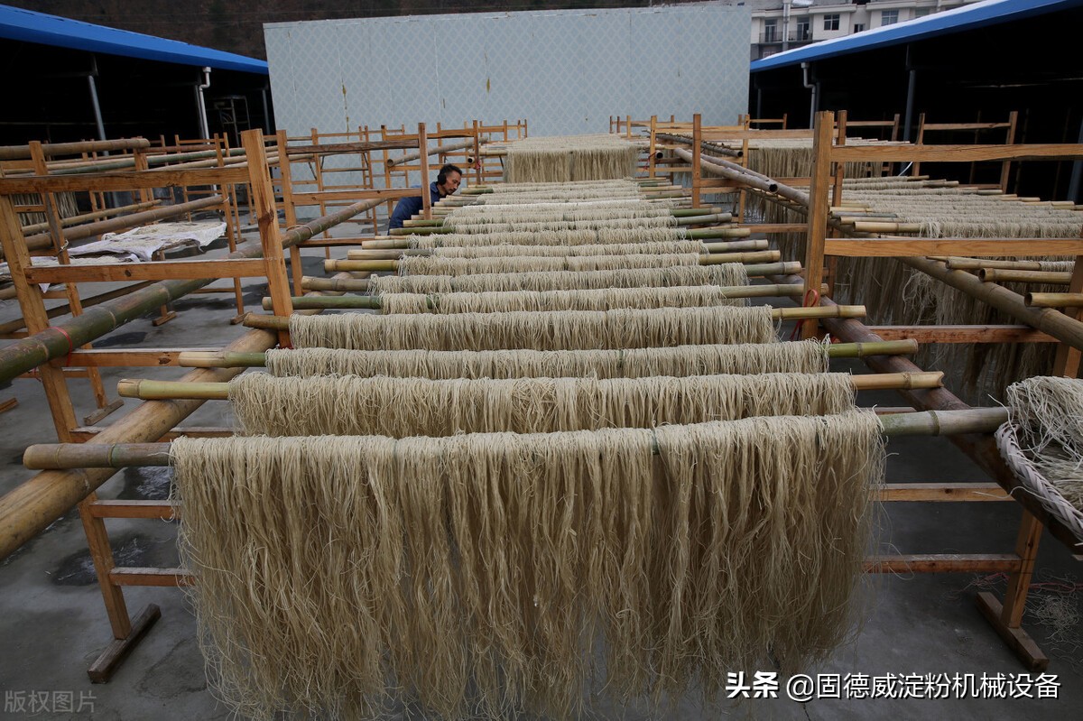 鲜粉条加工机器哪家的好,仿手工红薯粉条机全自动