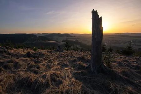 难忘一家人的视频,难忘的一家人回忆录