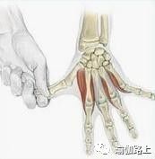 打通胳膊经络锻炼动作和方法,手臂经络不通松解法教程