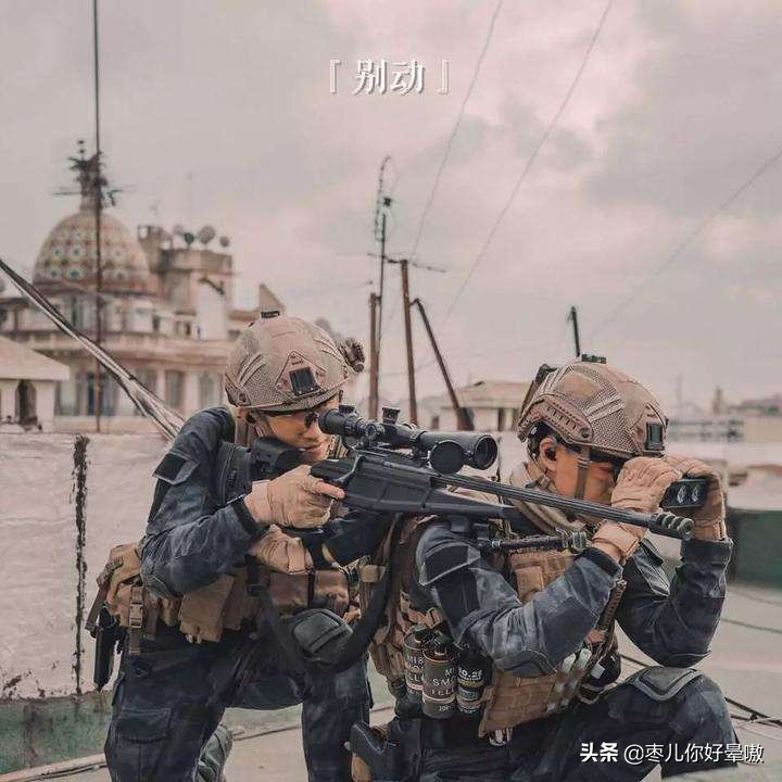 战狼2红海行动票房高的原因,红海行动票房为什么不及战狼2