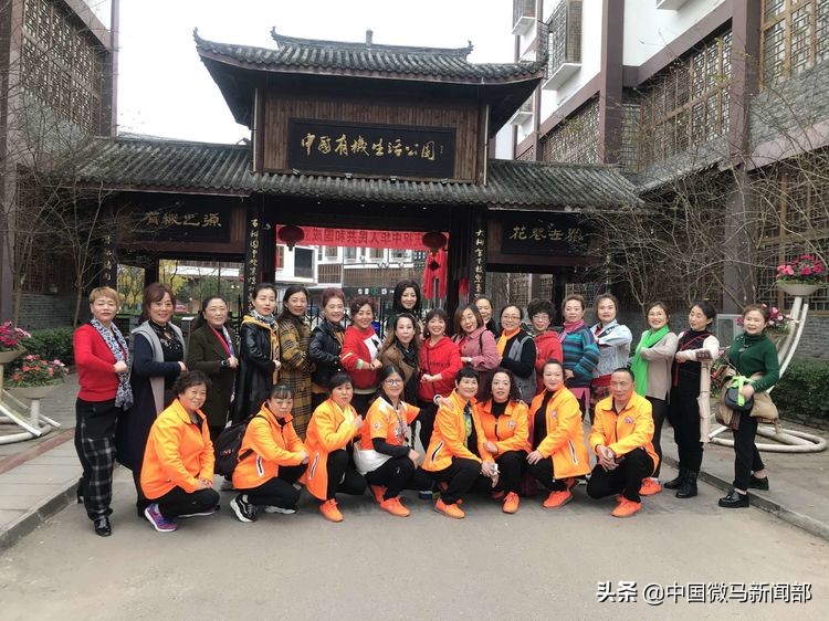 相约东莞长安莲花湖畔,相约在莲花湖风景区