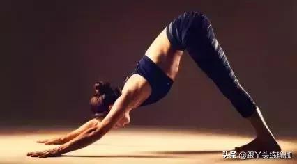 下犬式的好处,每天下犬式有什么好处