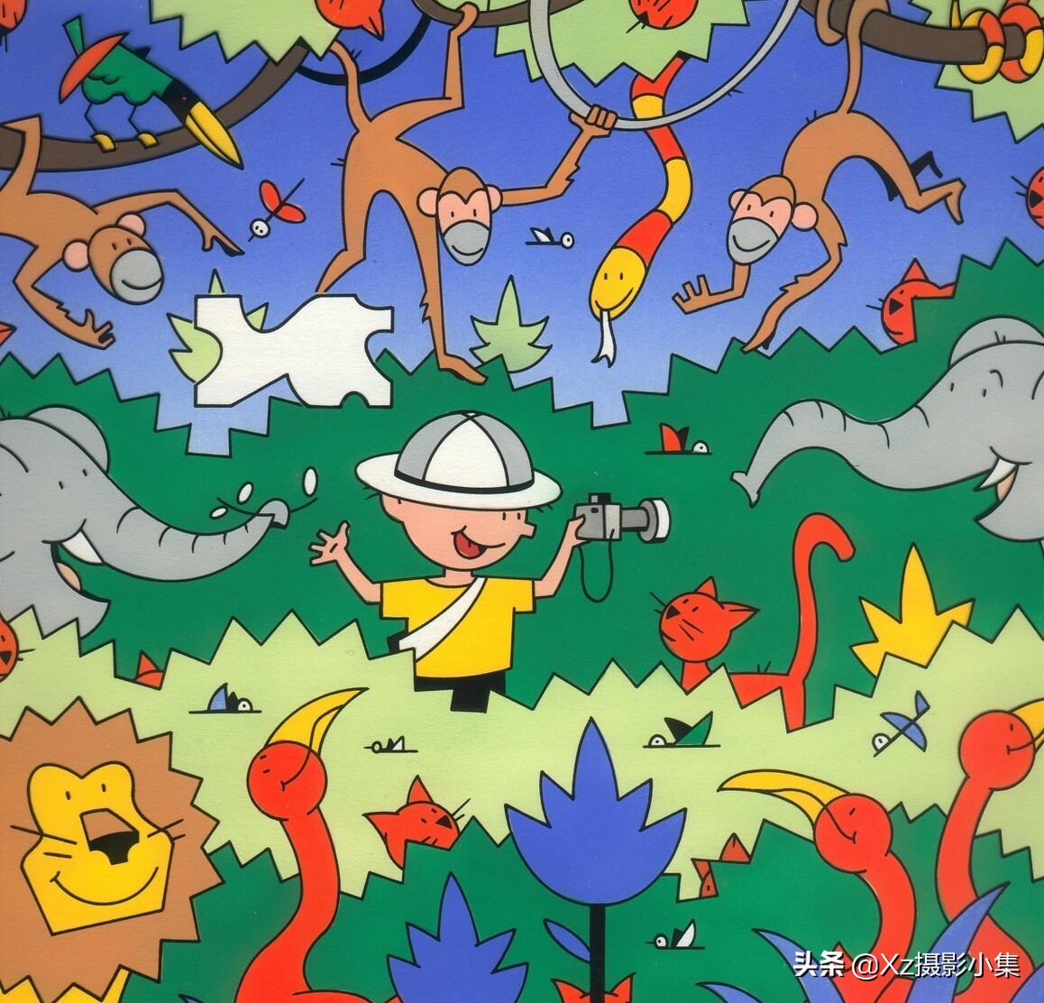 大连蛇岛旅游体验,大连蛇岛景区