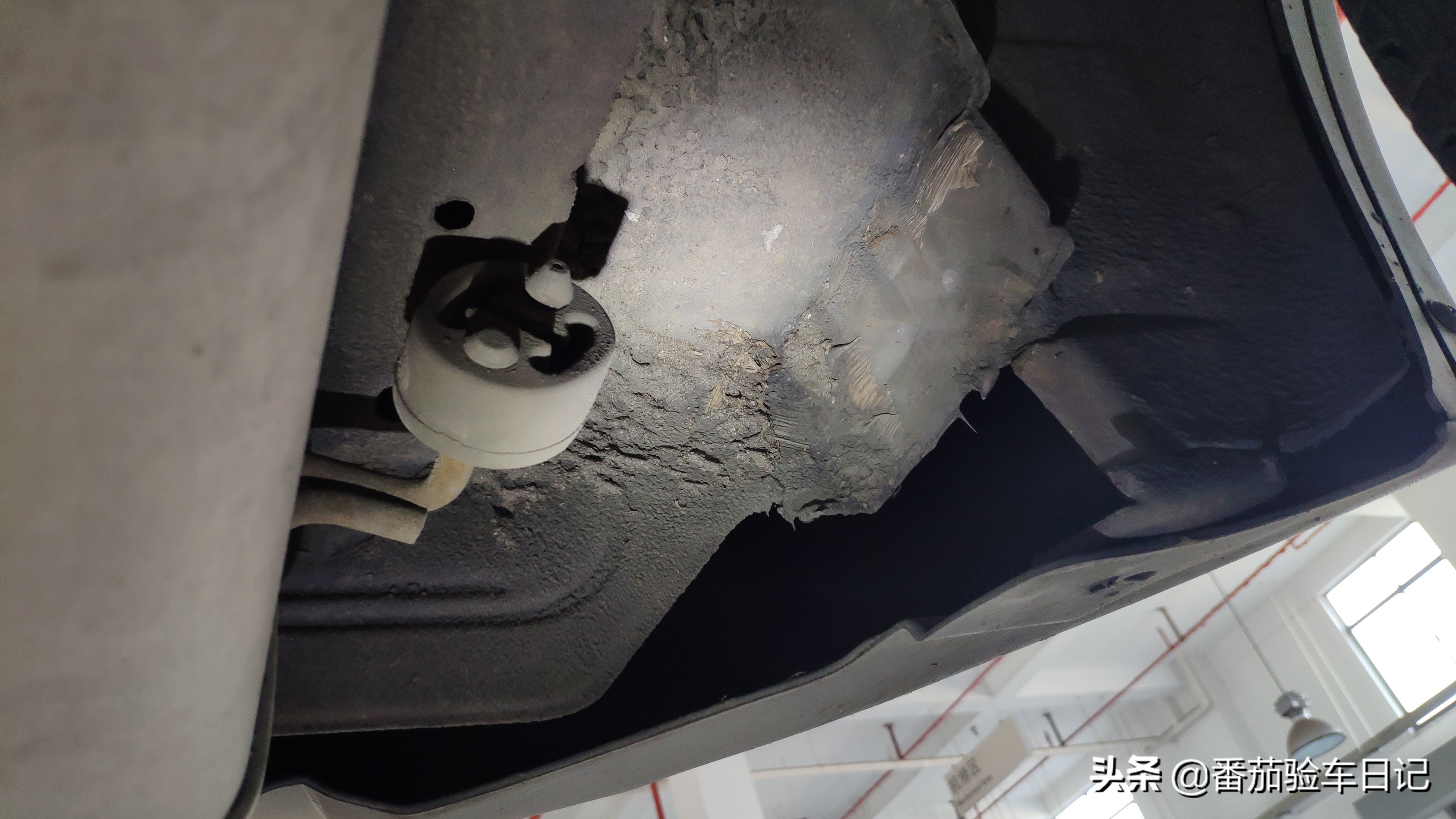 苍天饶过谁十年后的报应,苍天饶过谁节选