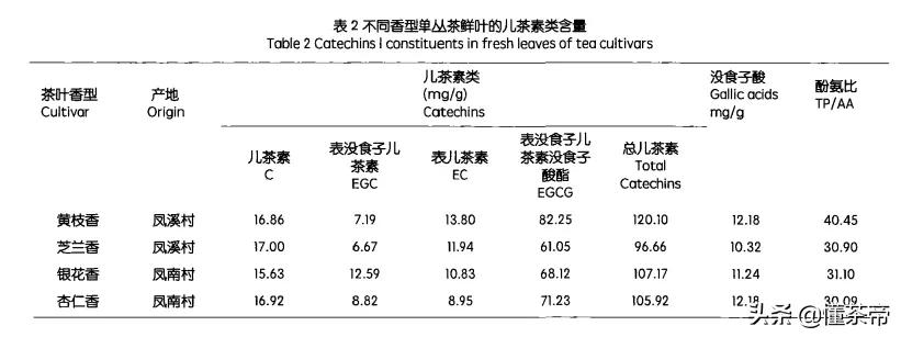 凤凰单丛十大香型是一颗树采摘吗,凤凰单枞十大香型有什么区别