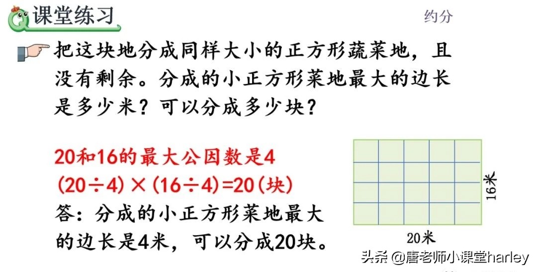 五年级数学求最大公因数知识点,公因数与最大公因数五年级