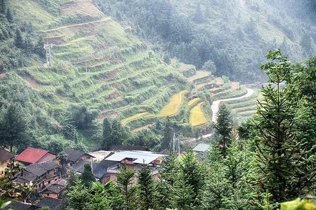 韶关丹霞梯田图片,韶关旅游梯田攻略图片