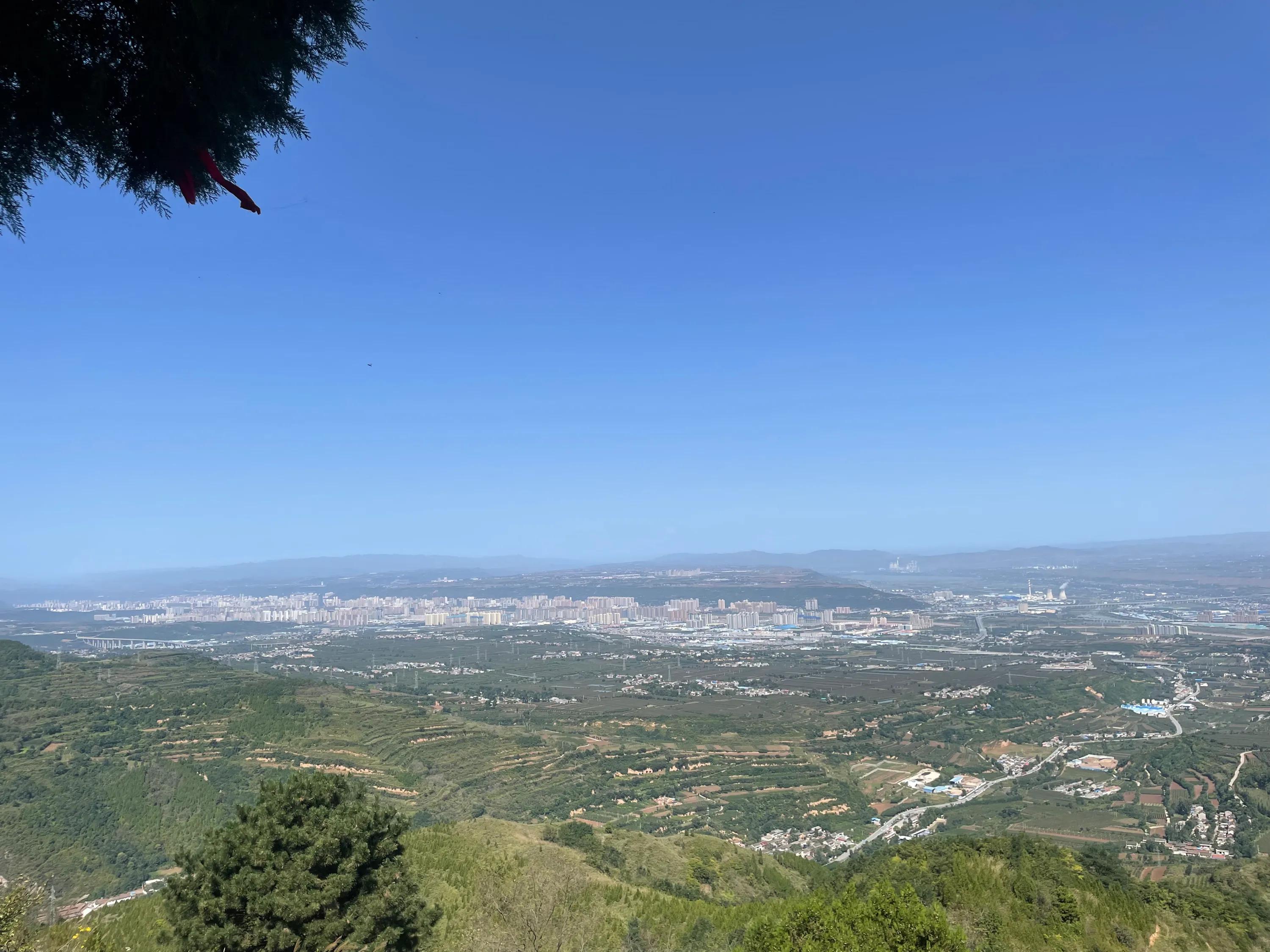 白雀寺神树视频,白雀寺供奉哪位菩萨