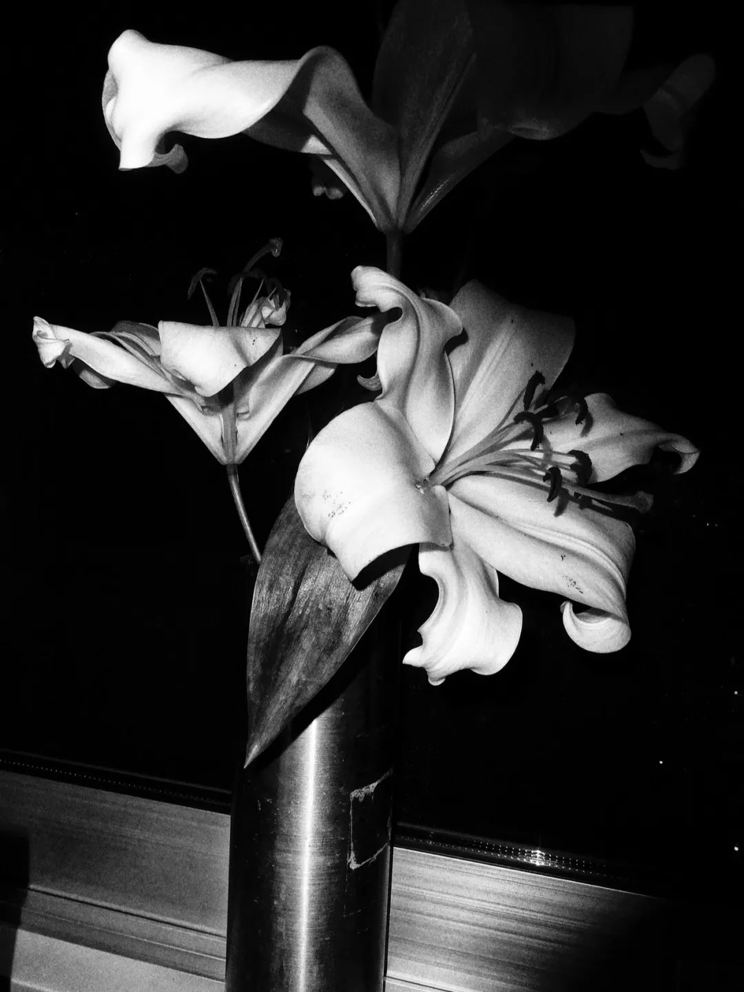 她是那个最会拍女人电影的王家卫的最新的王氏女郎