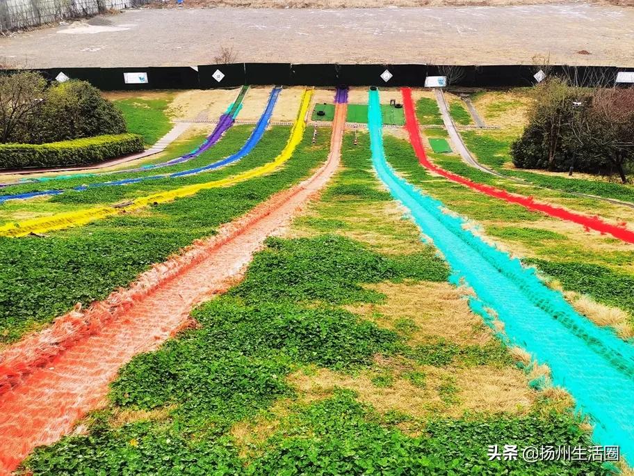 扬州花卉市场大全,扬州西区花卉市场