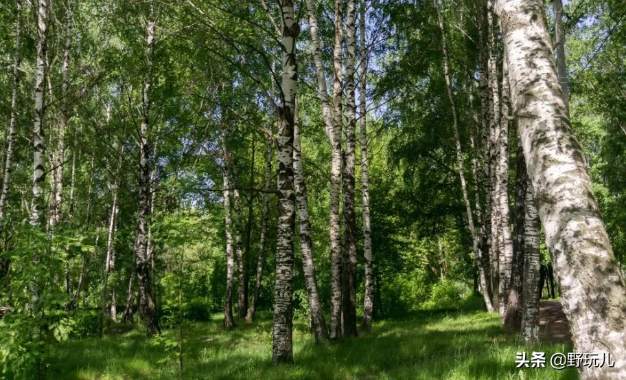 十一假期户外旅游注意事项,假期出游注意事项和防护