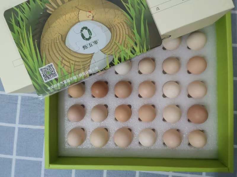 土鸡蛋必须是土鸡吗,土鸡蛋才是精华