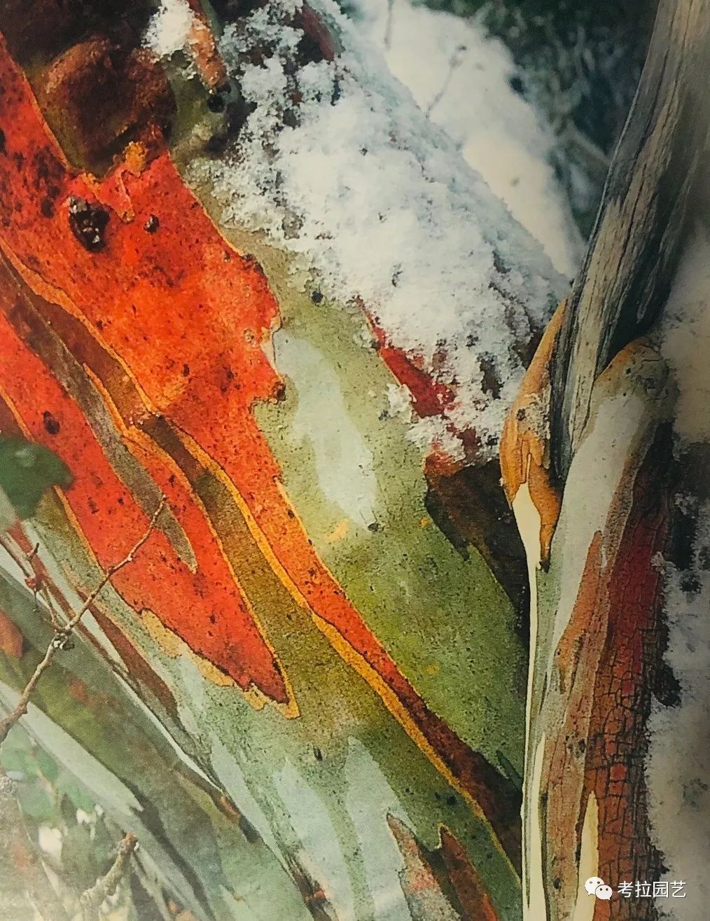 大地的恩赐图片,大地的馈赠是大天域吗