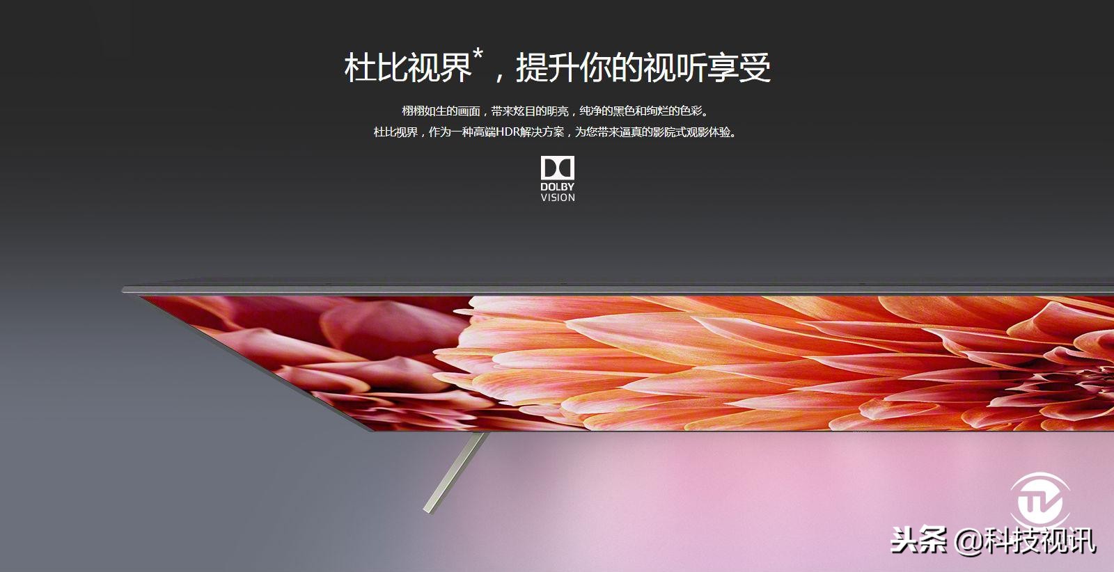 上港队史第一人,上港首夺中超冠军