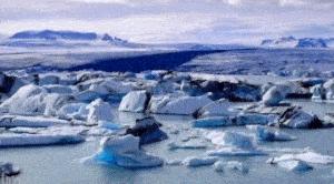 这届年轻人有多清醒,这届年轻人怎么爱上吸熊猫的