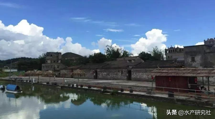 二氧化氯消毒剂配制方法与步骤,二氧化氯粉剂消毒的用法及用量