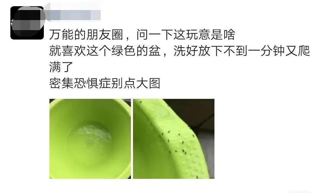 不明小虫咬后奇痒无比,咬人很痒的小黑虫有哪些