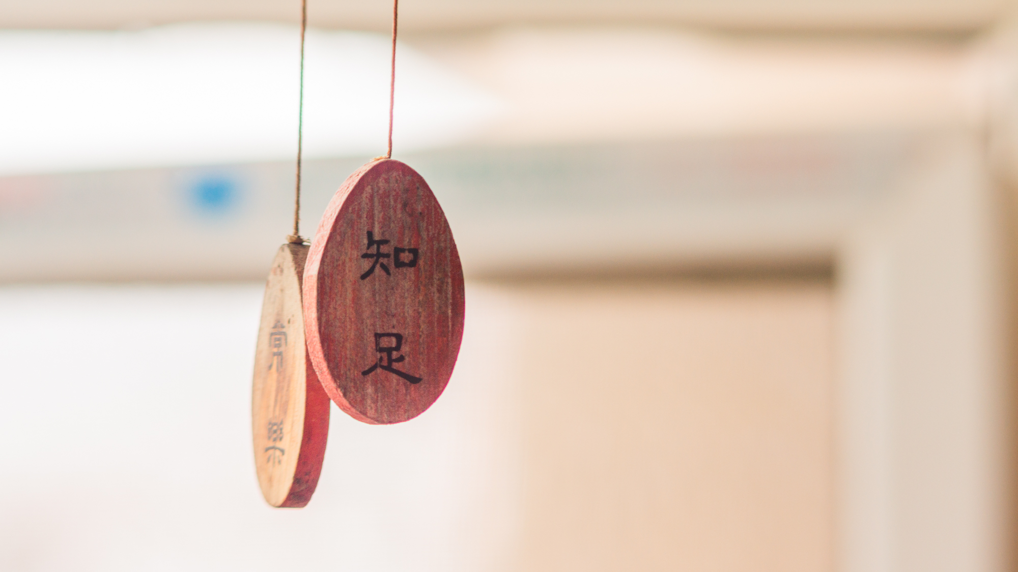 镜头霉变怎么办,相机镜头里面发霉了怎么处理