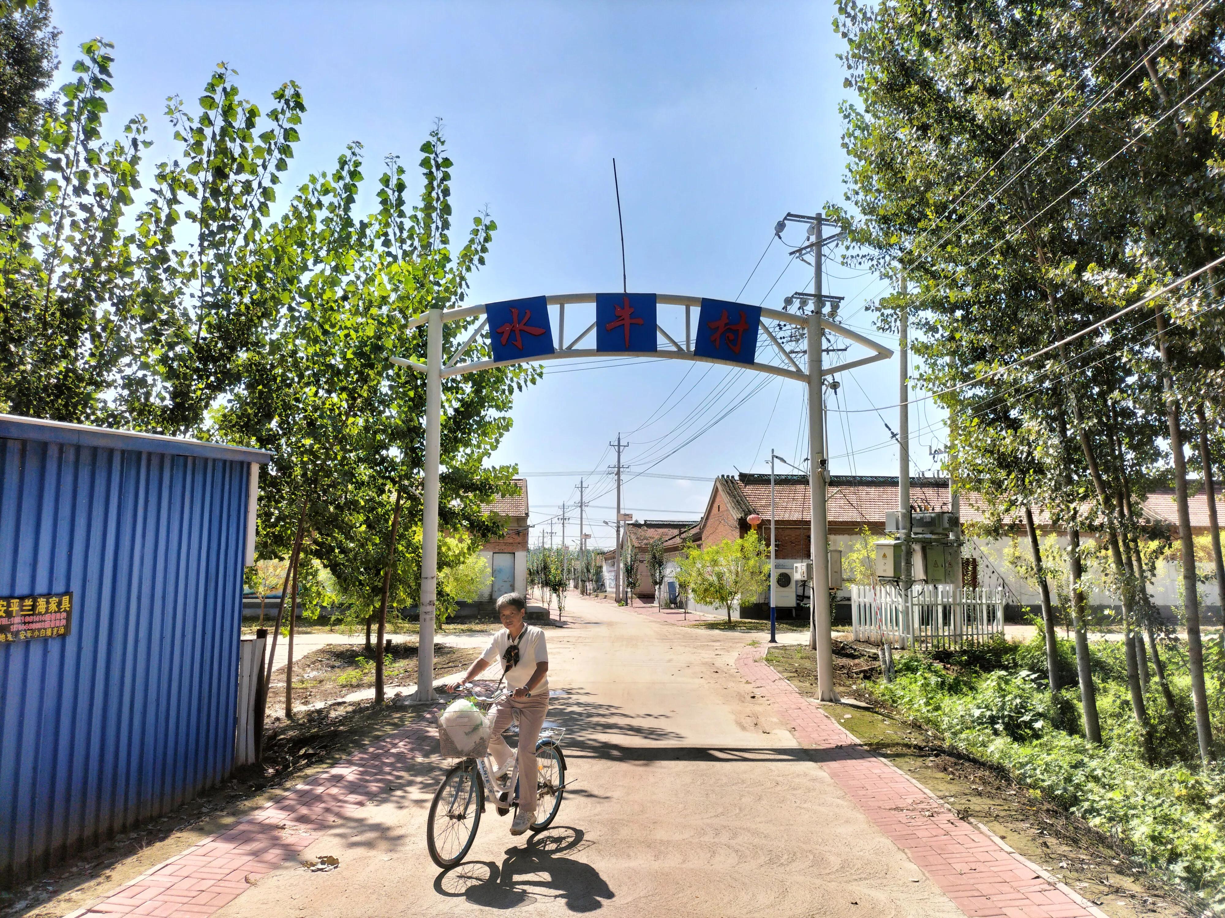 采访记录表模板,采访记录表四年级下册