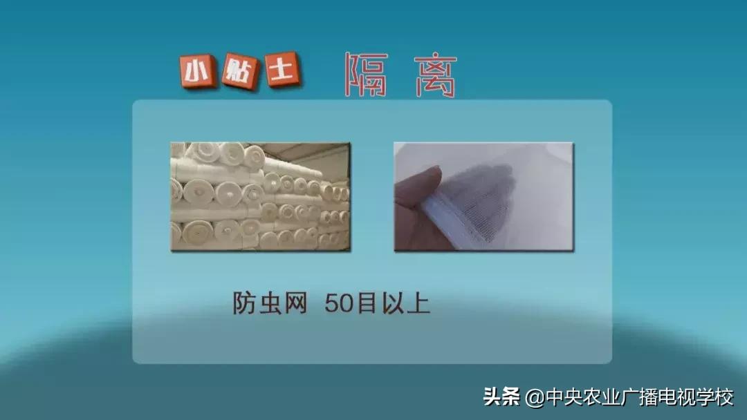 农广天地蛴螬养殖技术,韭蛆怎么防治最好