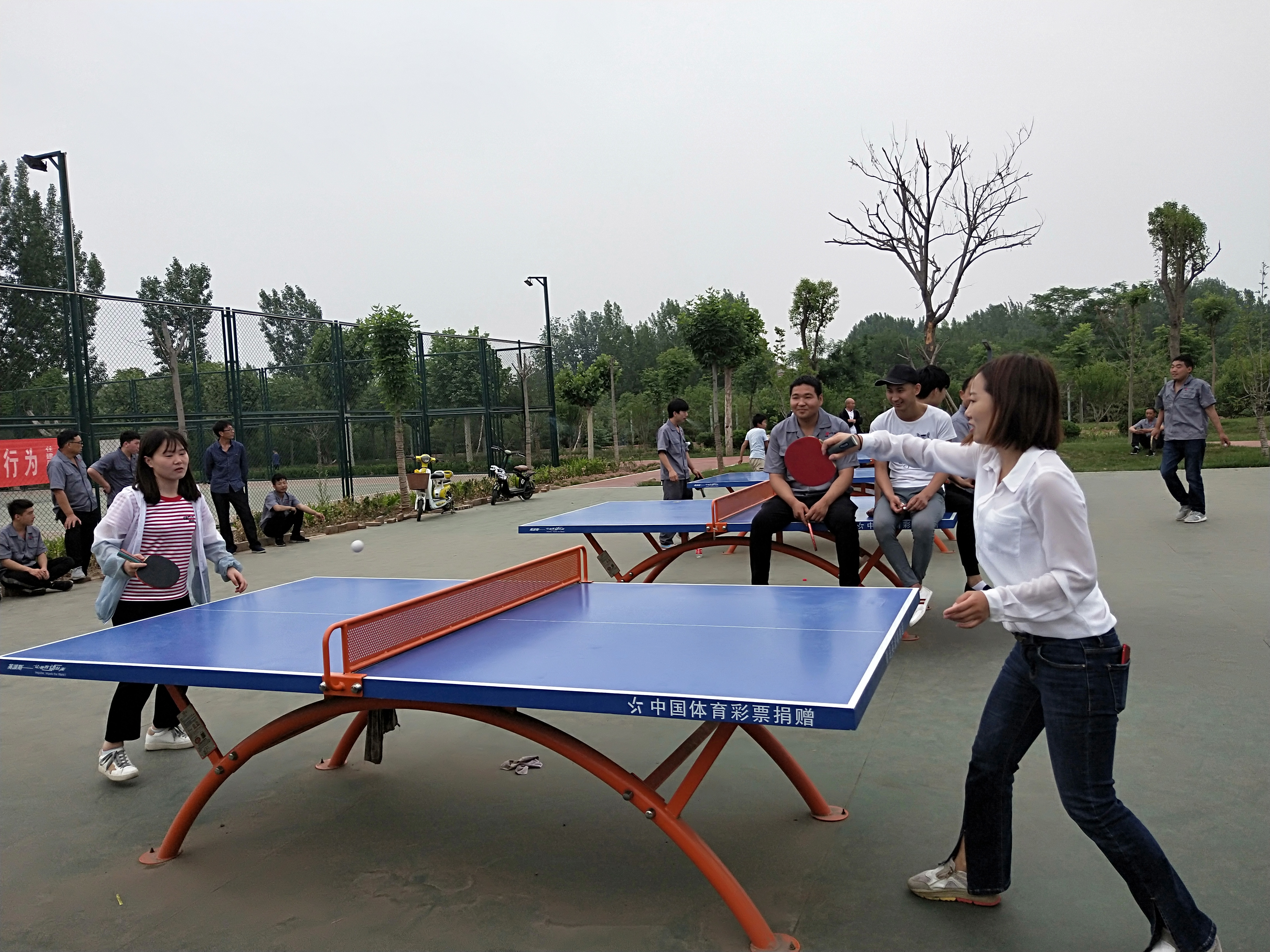 弘扬企业精神、凝聚团队力量——华东电缆股份首届运动会圆满落幕